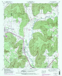 Download a high-resolution, GPS-compatible USGS topo map for Paint Rock, AL (1982 edition)