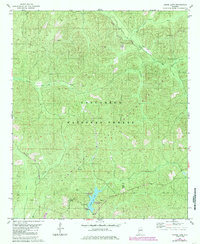 Download a high-resolution, GPS-compatible USGS topo map for Payne Lake, AL (1985 edition)