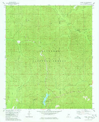 Download a high-resolution, GPS-compatible USGS topo map for Payne Lake, AL (1980 edition)