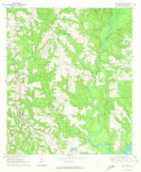 Download a high-resolution, GPS-compatible USGS topo map for Red Level, AL (1973 edition)