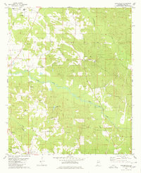 Download a high-resolution, GPS-compatible USGS topo map for Sawyerville, AL (1980 edition)