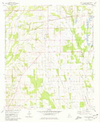 Download a high-resolution, GPS-compatible USGS topo map for Scott Station, AL (1980 edition)