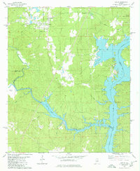 Download a high-resolution, GPS-compatible USGS topo map for Shelby, AL (1980 edition)