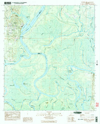 Download a high-resolution, GPS-compatible USGS topo map for Stiggings Lake, AL (1983 edition)