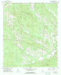 Download a high-resolution, GPS-compatible USGS topo map for Surginer, AL (1979 edition)