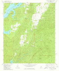 Download a high-resolution, GPS-compatible USGS topo map for Talladega Springs, AL (1980 edition)