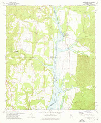 preview thumbnail of historical topo map of Barbour County, AL in 1973