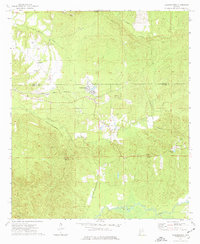 Download a high-resolution, GPS-compatible USGS topo map for Vredenburgh, AL (1977 edition)