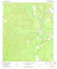 preview thumbnail of historical topo map of Washington County, AL in 1982