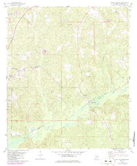 Download a high-resolution, GPS-compatible USGS topo map for Walker Springs, AL (1986 edition)