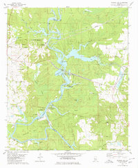Download a high-resolution, GPS-compatible USGS topo map for Warrior Dam, AL (1980 edition)