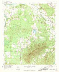 Download a high-resolution, GPS-compatible USGS topo map for Weisner Mountain, AL (1969 edition)
