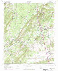 Download a high-resolution, GPS-compatible USGS topo map for Wellington, AL (1973 edition)