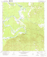 Download a high-resolution, GPS-compatible USGS topo map for Woods Bluff, AL (1980 edition)