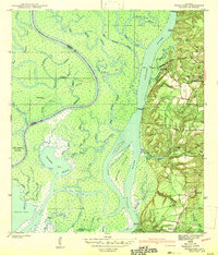 Download a high-resolution, GPS-compatible USGS topo map for Hurricane, AL (1943 edition)