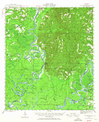 1943 Map of Choctaw Bluff, 1967 Print
