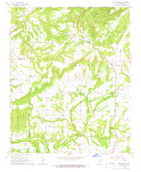 Download a high-resolution, GPS-compatible USGS topo map for Bee Branch, AR (1966 edition)