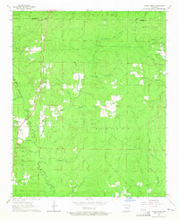 Download a high-resolution, GPS-compatible USGS topo map for Cane Creek, AR (1965 edition)