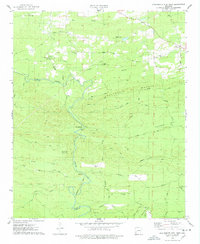 Download a high-resolution, GPS-compatible USGS topo map for Chalybeate Mtn West, AR (1978 edition)
