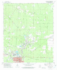 preview thumbnail of historical topo map of Ashley County, AR in 1973