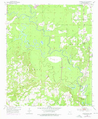 Download a high-resolution, GPS-compatible USGS topo map for Doddridge NW, AR (1976 edition)