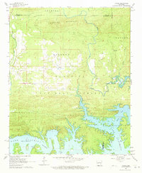 Download a high-resolution, GPS-compatible USGS topo map for Fannie, AR (1973 edition)