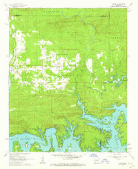Download a high-resolution, GPS-compatible USGS topo map for Fannie, AR (1963 edition)