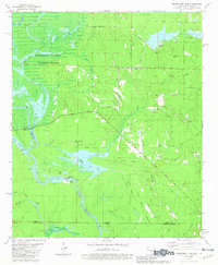 Download a high-resolution, GPS-compatible USGS topo map for Felsenthal Dam, AR (1981 edition)
