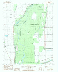 Download a high-resolution, GPS-compatible USGS topo map for Hatchie Coon, AR (1984 edition)
