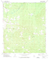 Download a high-resolution, GPS-compatible USGS topo map for Laneburg, AR (1975 edition)
