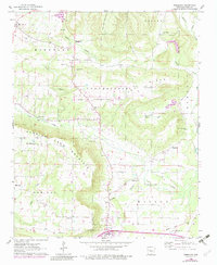 preview thumbnail of historical topo map of Pope County, AR in 1962