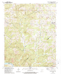 Download a high-resolution, GPS-compatible USGS topo map for Mount Pleasant, AR (1989 edition)