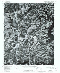 Download a high-resolution, GPS-compatible USGS topo map for Mountain Home East, AR (1981 edition)