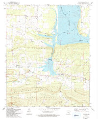 Download a high-resolution, GPS-compatible USGS topo map for New Blaine, AR (1993 edition)