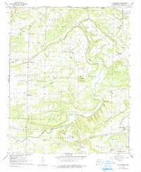 Download a high-resolution, GPS-compatible USGS topo map for Solgohachia, AR (1990 edition)