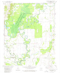 Download a high-resolution, GPS-compatible USGS topo map for Strangers Home, AR (1980 edition)