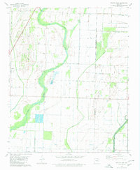 Download a high-resolution, GPS-compatible USGS topo map for Swifton East, AR (1980 edition)