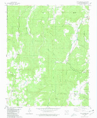 Download a high-resolution, GPS-compatible USGS topo map for Witts Springs, AR (1981 edition)