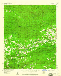 Download a high-resolution, GPS-compatible USGS topo map for Oden, AR (1960 edition)