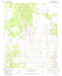 Download a high-resolution, GPS-compatible USGS topo map for Anvil Rock, AZ (1980 edition)