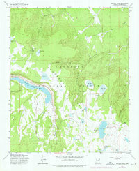 Download a high-resolution, GPS-compatible USGS topo map for Ashurst Lake, AZ (1976 edition)