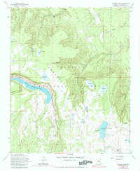 Download a high-resolution, GPS-compatible USGS topo map for Ashurst Lake, AZ (1984 edition)