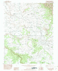 Download a high-resolution, GPS-compatible USGS topo map for Bad Bug Butte, AZ (1982 edition)