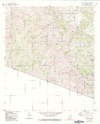 preview thumbnail of historical topo map of Santa Cruz County, AZ in 1979
