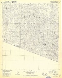 preview thumbnail of historical topo map of Santa Cruz County, AZ in 1979