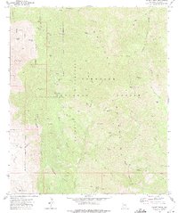 Download a high-resolution, GPS-compatible USGS topo map for Bassett Peak, AZ (1975 edition)