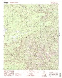 historical topo map of Greenlee County, AZ in 1991