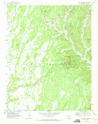 Download a high-resolution, GPS-compatible USGS topo map for Betatakin Ruin, AZ (1973 edition)