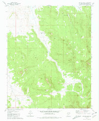 Download a high-resolution, GPS-compatible USGS topo map for Big Bud Tank, AZ (1981 edition)
