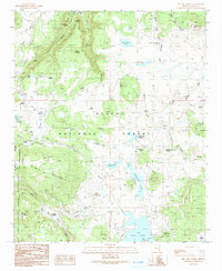 Download a high-resolution, GPS-compatible USGS topo map for Big Lake North, AZ (1991 edition)